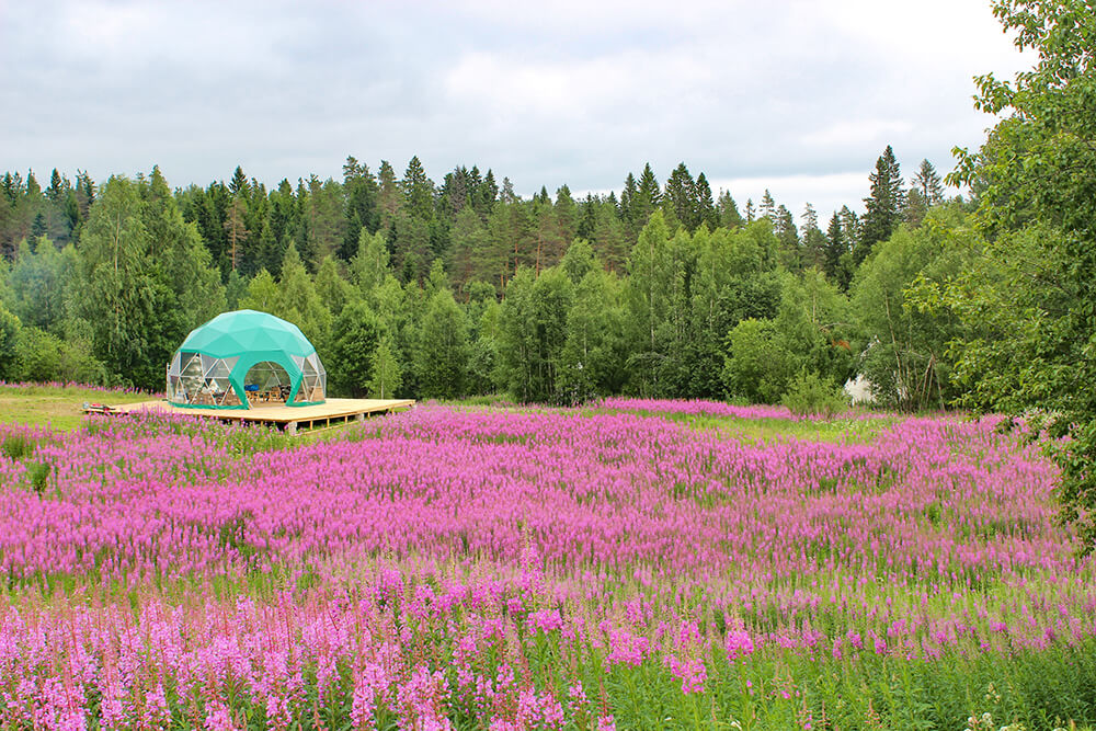 Dome Tent Care